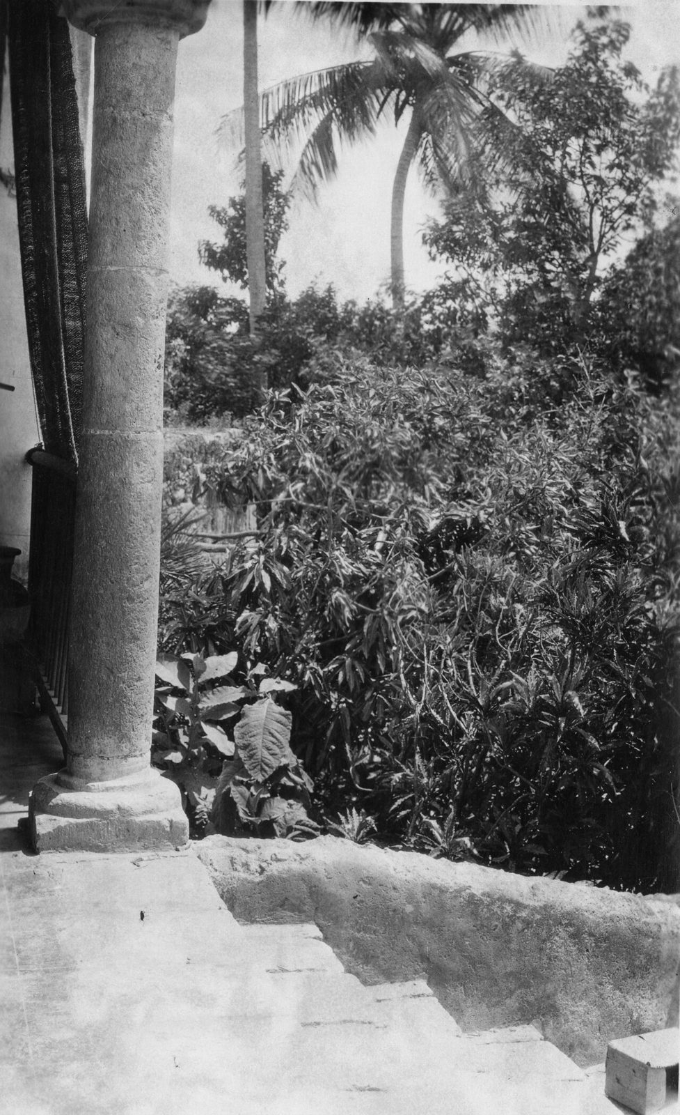 Columna en el corredor junto al jardín.